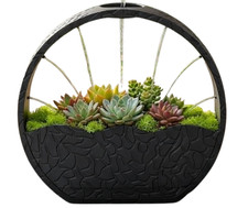 Zen Self-Watering Circular