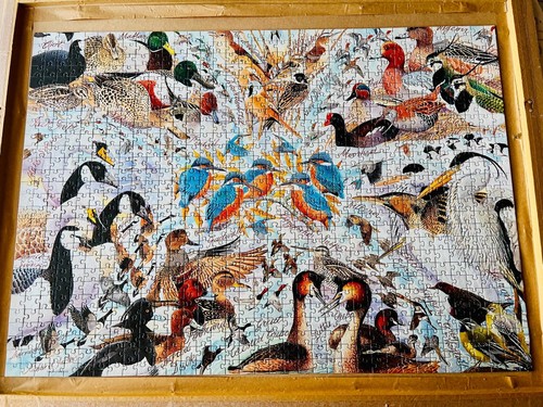 1000 piece jig - piece, saw