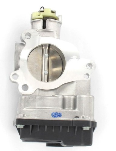 Intermotor throttle body for - throttle,