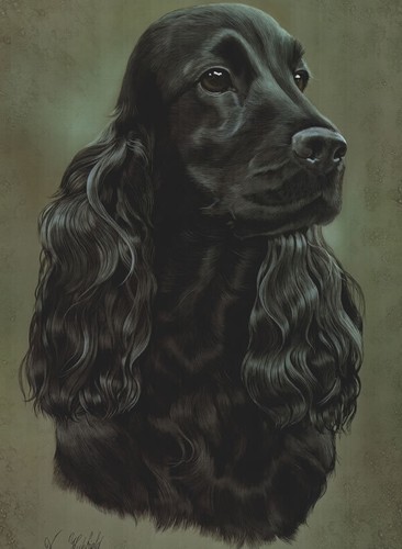 Print black cocker - print, a