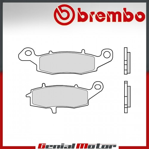 Rear brembo brake - rear,