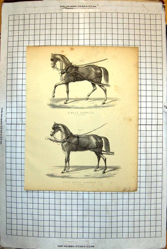 Antique print single - single, harness