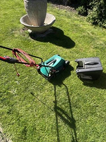 Lawnmower and strimmer - lawnmower,