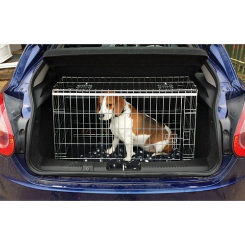 Sloping dog pet puppy travel - sloping,