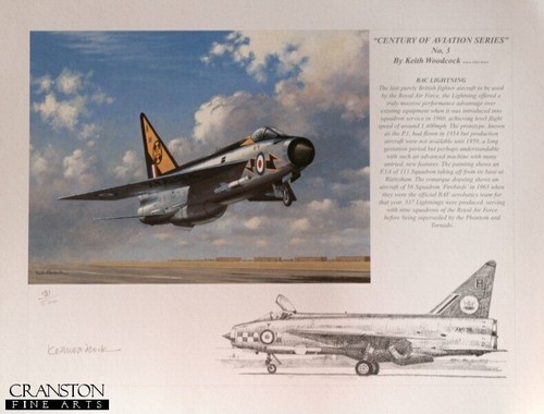 Royal air force aviation art - air,