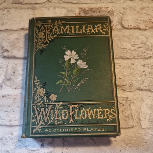 Vintage book familiarí wild - familiarí,