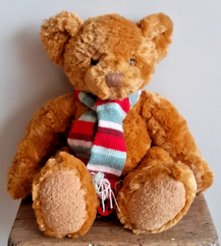 Beautiful cuddly teddy bear - teddy, by