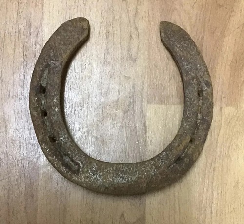 X used shire - x, horse