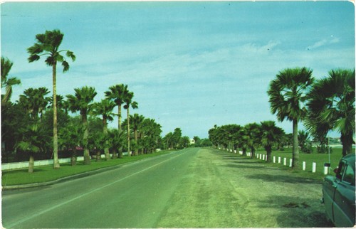 Corpus christi ocean - christi,
