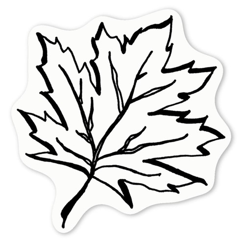 Sycamore tree leaf - tree, white