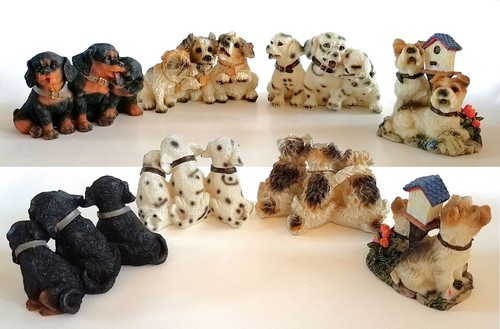 Breed puppies puppy - puppies, dogs