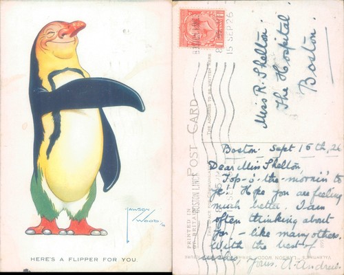 Penguin illustration
