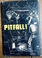 Pitfall! by Barbara Hallihan 1974 * story Durham coalfields 19th C illustrated