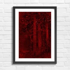 Dark Forest Tree Trunks Nature