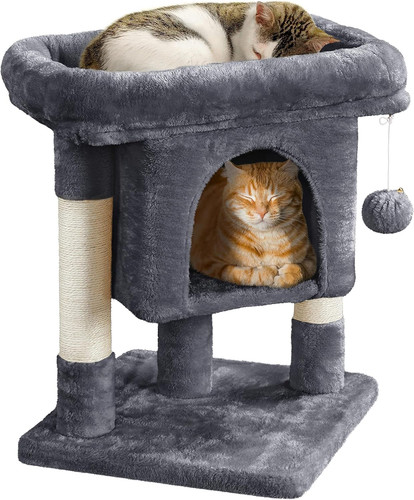 Cat tree for indoor cats - cat,