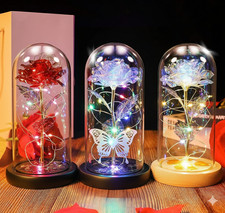 Beauty and the Beast Rose