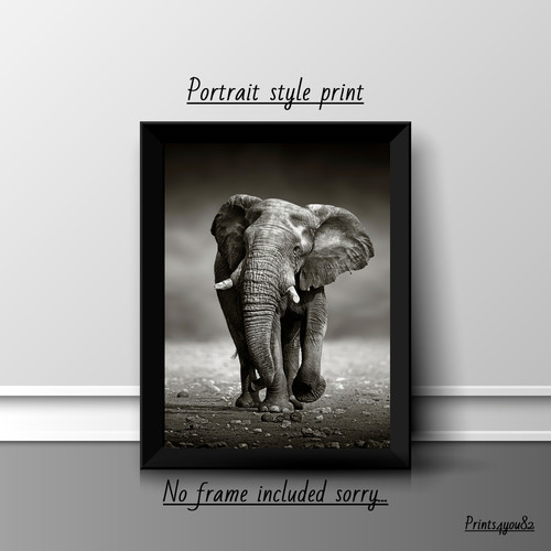 Elephant safari print - safari,
