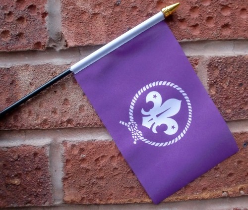 Scouts hand waving flag small - scouts,