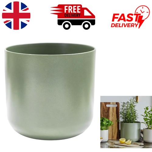 Contemporary sage ceramic - sage,