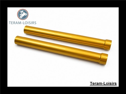 Teram loisirs gold fork tube - loisirs,