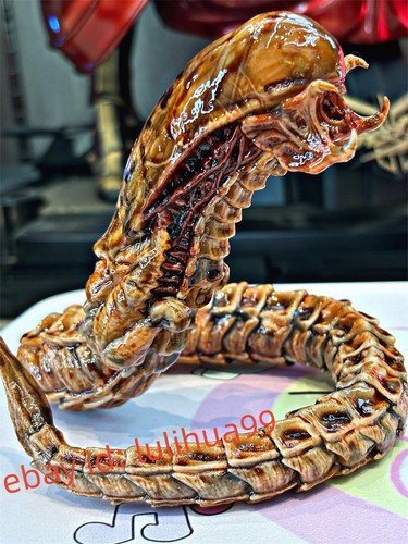 Alien predator chestburster - alien,
