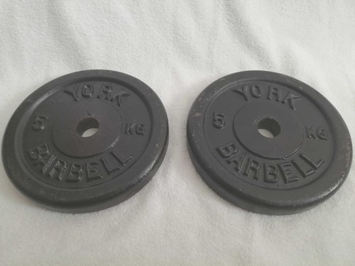 20kg york cast - 1", iron