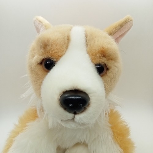 The queen corgi - queen's, soft