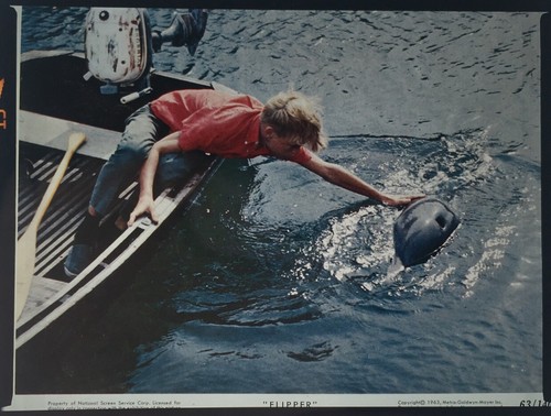 Flipper luke halpin x - 2.5, 2
