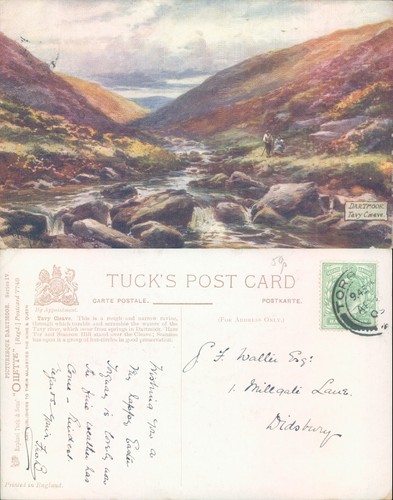 Tavy cleave dartmoor landscape - dartmoor,