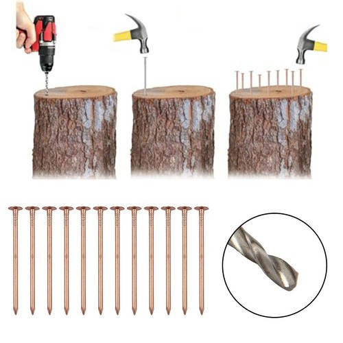 Inch copper nails - 4,