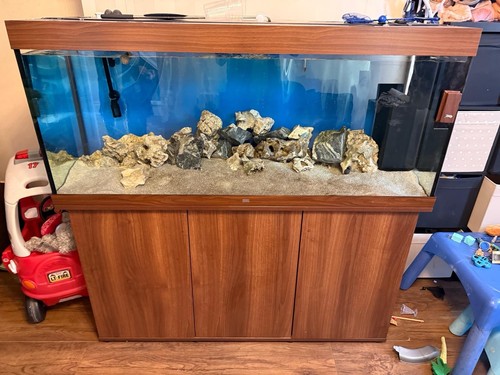 Juwel rio 450 aquarium - juwel,