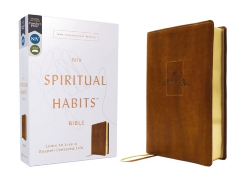Niv spiritual habits bible - niv,