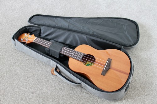 Big island ukulele solid - big,