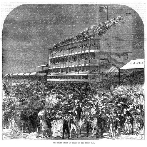 Horse racing the grand - horse,