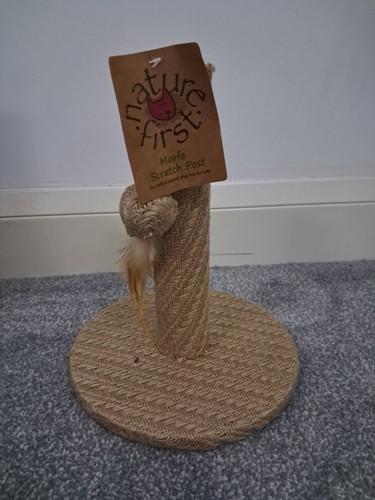 Cat scratching post scratch - cat,