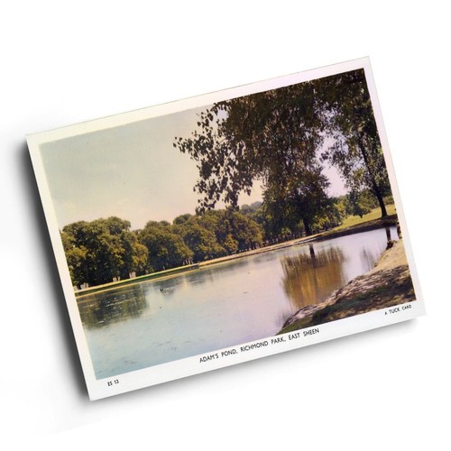 Print vintage surrey - a6,