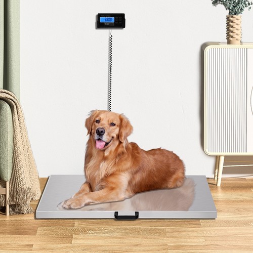 Large 440lb dog digital pet - large,