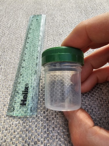 Clear small round empty - 20, x