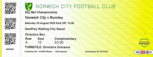 Norwich city home - city, used