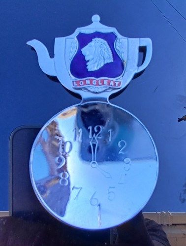 Tea caddy spoon - tea,