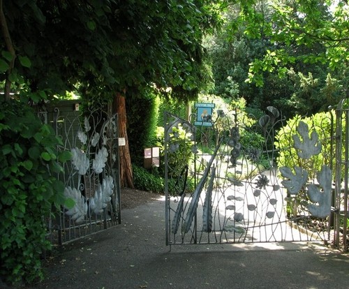 Photo 6x4 earlham road the - photo,