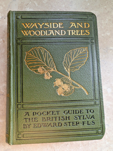 Wayside woodland pocket - woodland,