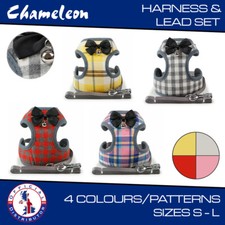  Cat Harness & Lead  SET for