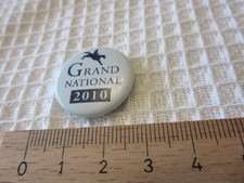 GRAND NATIONAL 2010 horse
