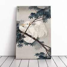 Yellow Crested Cockatoo In A