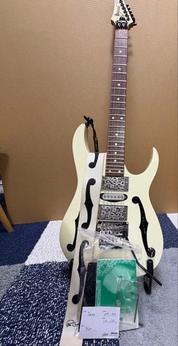 Ibanez pgm30 electric - ibanez,