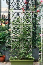 2 Sizes Garden Obelisk Strong