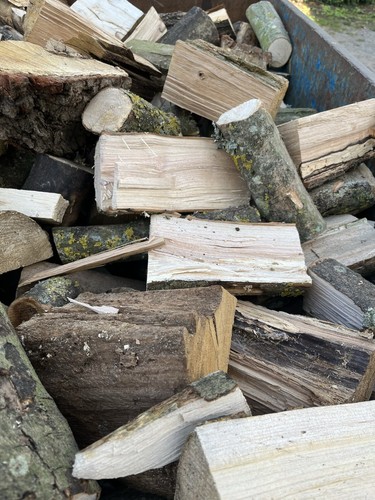 Seasoned logs - seasoned,