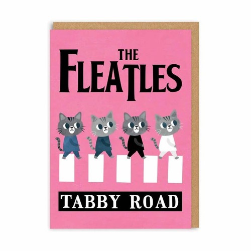 Funny birthday card cat - card,