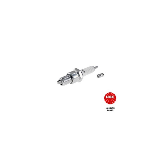 Spark plug for - plug, renault